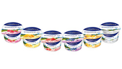 Mvenpick Moments of Joy Yoghurt