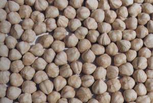 Blanched Hazelnut