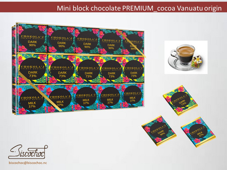 HIBISCUS mini blocks