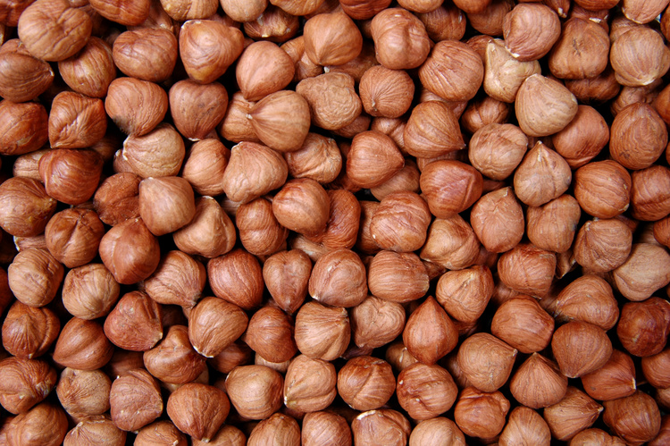 Natural Hazelnut