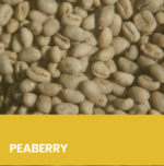 PEABERRY SPECIALTY GREEN COFFEES