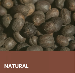 NATURAL SPECIALTY GREEN COFFEES