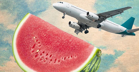 Why You Should Eat Watermelon After Your Next Trip On An Airplane