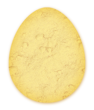 Dry egg yolk, pasteurized