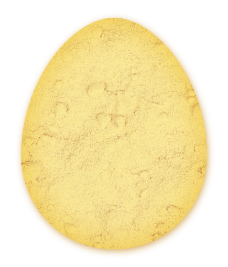 Dry egg yolk, pasteurized