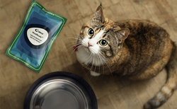 Amcor highlights PPWR impact on pet food packaging industry