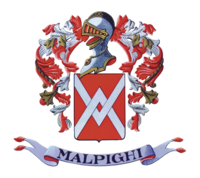 ACETAIA MALPIGHI SRL