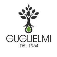 GUGLIELMI SAVERIO DI GUGLIELMI RICCARDO E VINCENZO S.N.C.