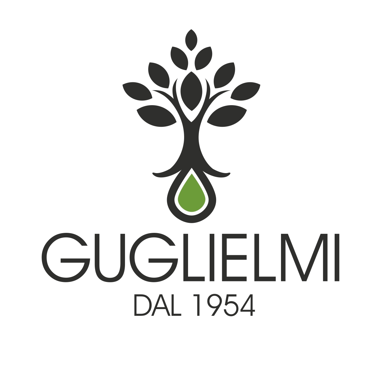 GUGLIELMI SAVERIO DI GUGLIELMI RICCARDO E VINCENZO S.N.C.