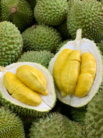 DURIAN