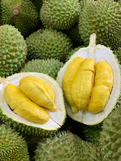 DURIAN