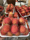 RAMBUTAN