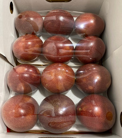 PASSION FRUIT
