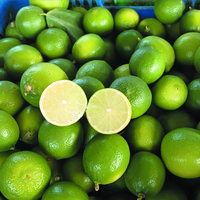 SEEDLESS LIME