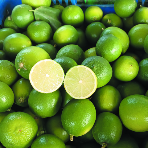 SEEDLESS LIME