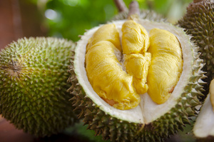 Fresh Durian