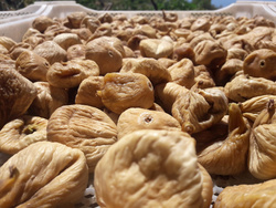 Turkish Dried Mountain Figs