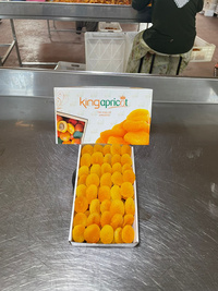 KING APRICOT GIDA TARIM URUN. LTD. STI.