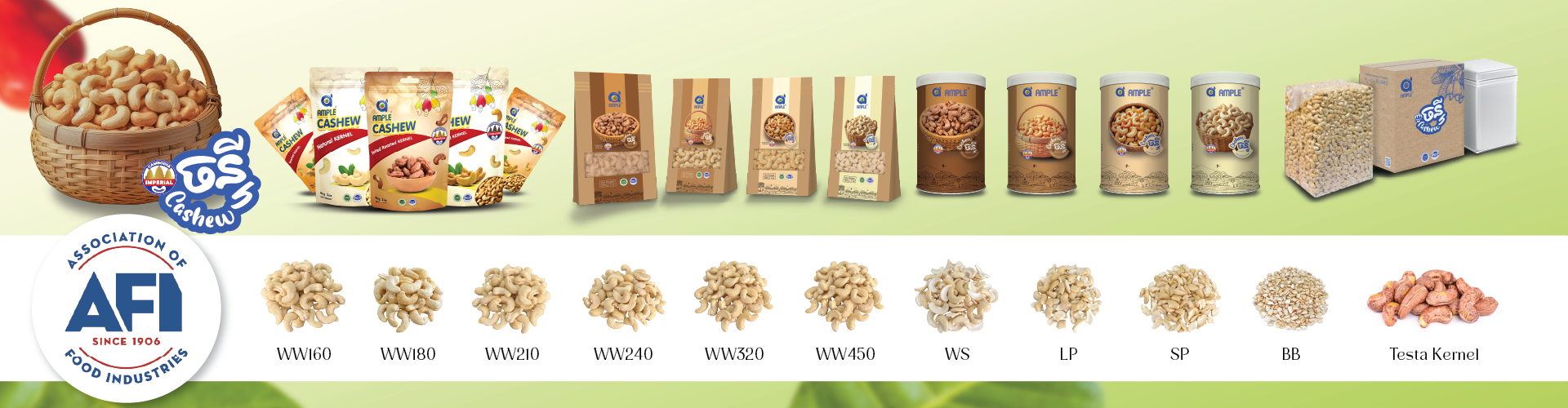 Cambodia Cashew Nuts 柬埔寨腰果