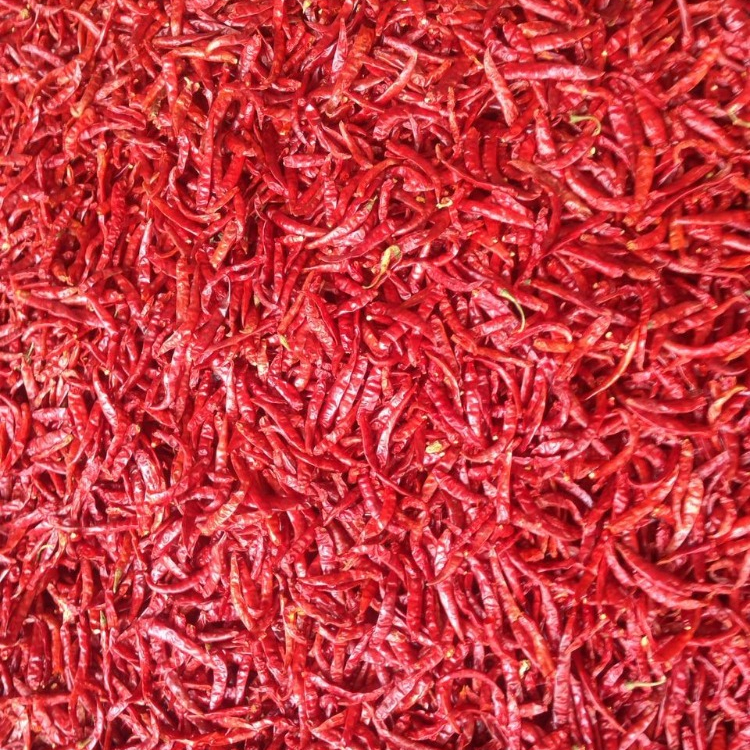 CHILLIS WHOLE & POWDER