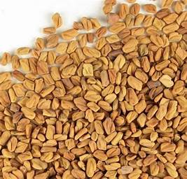 FENUGREEK SEEDS