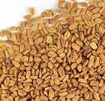 FENUGREEK SEEDS