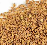 FENUGREEK SEEDS