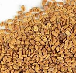 FENUGREEK SEEDS