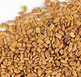FENUGREEK SEEDS