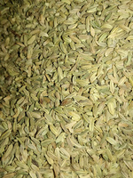 FENNEL  SEEDS