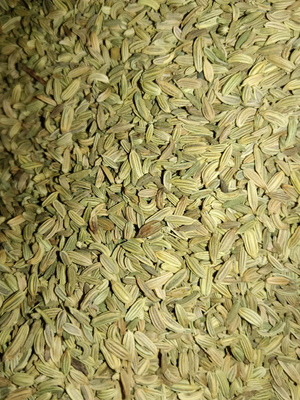FENNEL  SEEDS