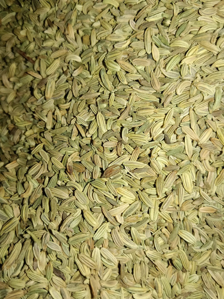 FENNEL  SEEDS